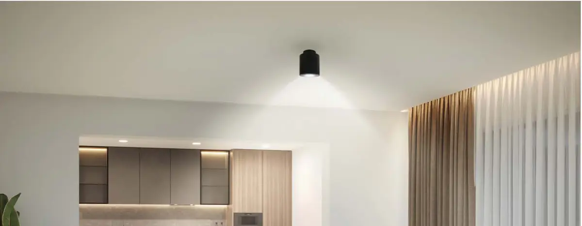 Philips Up-Down Surface Spot
